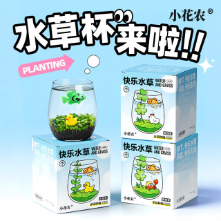 小花农 水培快乐水草小清新种植杯小对叶爱情草卧室阳台办公桌摆件 快乐水草杯-小对叶(小鱼+小黄鸭)