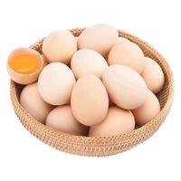  我老家 农家散养 鸡蛋