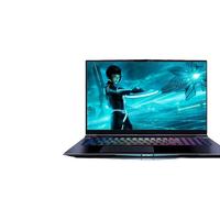 MECHREVO 机械革命 深海泰坦X10Pro 十一代酷睿版 17.3英寸 游戏本 黑色（酷睿i7-11800H、RTX 3070 8G、16GB、512GB SSD、1080P、300Hz）