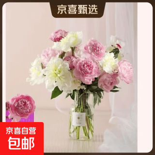 京喜 四川重瓣芍药混色5枝40cm左右（粉色+红色