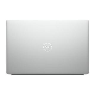 DELL 戴尔 灵越 13-7391 13.3英寸 轻薄本 银色(酷睿i5-10210U、MX250、8GB、1TB SSD、1080P、IPS、60Hz、R1625S)