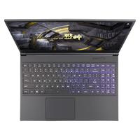 Hasee 神舟 战神 Z7-CT5VH 15.6英寸 游戏本 黑色(酷睿i5-9300H、GTX 1660Ti 6G、8GB、256GB SSD+1TB HDD、1080P、IPS、60Hz)