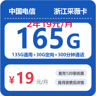 中国电信 2年19元/月165G全国流量300分钟