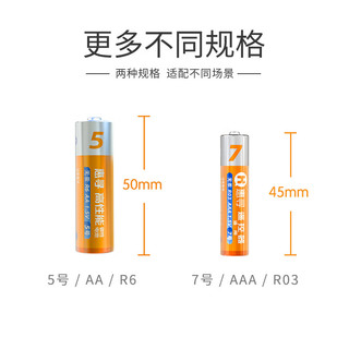  惠寻 R6 碳性电池