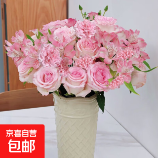 京喜 玫瑰10枝康乃馨10枝送配草1束（随机色）