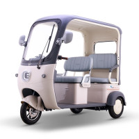 绿源 TPI 电动三轮车 时尚带篷家用老人接送孩子代步电动车