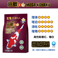 神阳 高蛋白 锦鲤饲料