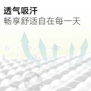  Baleno/班尼路 重磅 女士T恤
