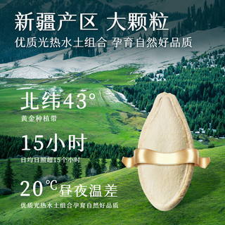  SUNBOY/三胖蛋 盐焗 南瓜子礼盒