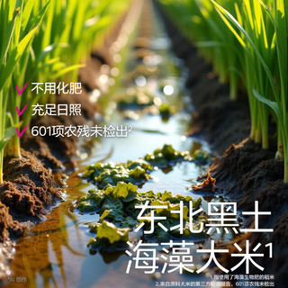  BabyPantry/光合星球 高钙 儿童米饼