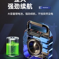 SAST/先科 大功率 蓝牙音响套装+无线话筒+有线话筒