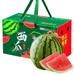WOUYTWV 正宗 美都麒麟西瓜 8斤装 1个