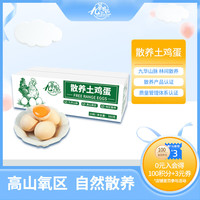 九华 九華粮品 皖南散养土鸡蛋 380g 10枚