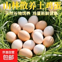 移动端、京东百亿补贴：京喜 生鲜买菜单枚40g 土鸡蛋20枚