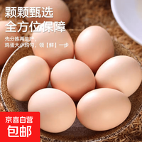移动端、京东百亿补贴：京喜 鲜鸡蛋 林下散养 50g左右 30枚