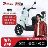 台铃 菲萌长续航电动车电动摩托车电摩外卖上班代步电瓶车