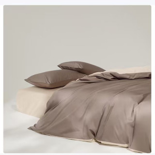 AIDLI 100支全棉贡缎新疆长绒棉纯棉四件套 200*230cm