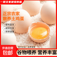海佑正宗林下新鲜鲜鸡蛋现捡五谷鲜鸡蛋生鲜超市单枚40g-45g 土鸡蛋10枚