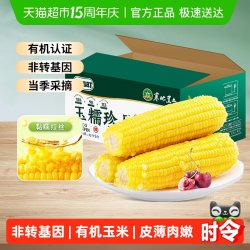 七稻町 黑龙江黄糯玉米 280g*10支+250g*3支+260g*8支 真空包装