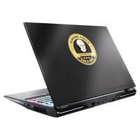 TERRANS FORCE 未来人类 X511 15.6英寸 游戏本 黑色(酷睿i7-10750H、RTX 2060 6GB、32GB、512GB SSD+1TB HDD、1080P、144Hz、26X7SH1)