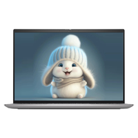  DELL/戴尔 2.5K屏 笔记本电脑 16G内存 1TB固态硬盘  Intel集成显卡 无机械硬盘 酷睿i7-1360P 2560*1600 粉色 60Hz 16GB 1TB