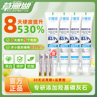 草珊瑚 羟基磷灰石抗敏牙膏亮白修复清新口气含氟100g