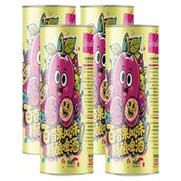  Ijsselmeer 多口味混合 果味啤酒  1x2x1000ml 包装 1000ml
