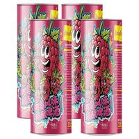  Ijsselmeer 多口味混合 果味啤酒  1x2x1000ml 包装 1000ml