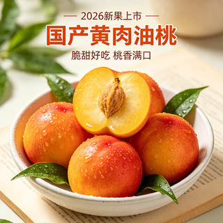  京觅 新鲜当季 油桃