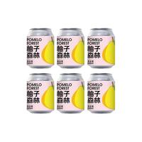  Zebra Craft/斑马精酿 水果风味 果味精酿啤酒  柚子森林 250mL 6罐 听装