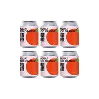  Zebra Craft/斑马精酿 水果风味 果味精酿啤酒  金桔血橙 250mL 6罐 听装