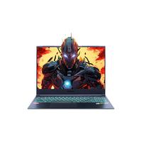 MECHREVO 机械革命 旷世16 Pro 十三代酷睿版 16英寸 游戏本 灰色（酷睿i9-13900HX、RTX 4060 8G、16GB、1TB SSD、2.5K、LED、240Hz）