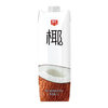 CHUNGUANG 春光 一口鲜气 椰汁植物蛋白饮料 1L*2瓶