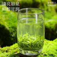 印象堂 滋味鲜爽 毛尖茶