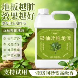 CC SEE 不留水痕 地板清洁剂1100ml