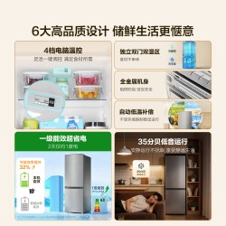 统帅 LC2-186S901 一级能效 双门冰箱