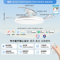 NVC/雷士 IP65三防 隐形风扇灯 IP65三防【100瓦-全光谱】智控一级能效