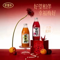 好望水 望幸福望美好杨梅杏仁气泡复合果汁饮料碳酸汽水饮料分享装