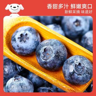 今日必买：京觅 超大号云南高山蓝莓（22mm+）净重100g*12盒