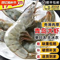 虾有虾途 特大虾鲜活冷冻14-17cm青岛大虾2.8斤