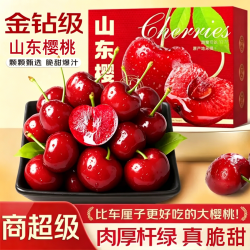 鲁禧海岸 山东大樱桃 国产车厘子4J级4斤(净重) 带箱5斤精选果22-26mm