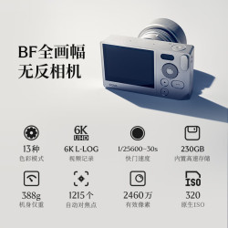 适马 2460万像素 全画幅微单相机 银色