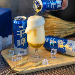雪花 干啤两箱装 500mL*24罐  赠：全麦 5 号*1L