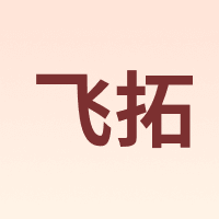 FLYTOP/飞拓