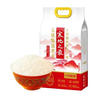 十月稻田 寒地之最 大米5kg*2袋