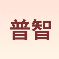 普智
