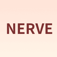 NERVE