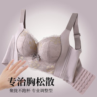 浪莎 新品小胸聚拢显大文胸提拉上托性感蕾丝大胸内衣透气无痕胸罩