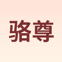 LUZUN/骆尊