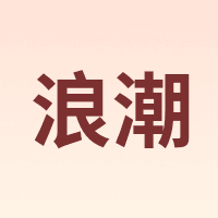 浪潮 INSPUR